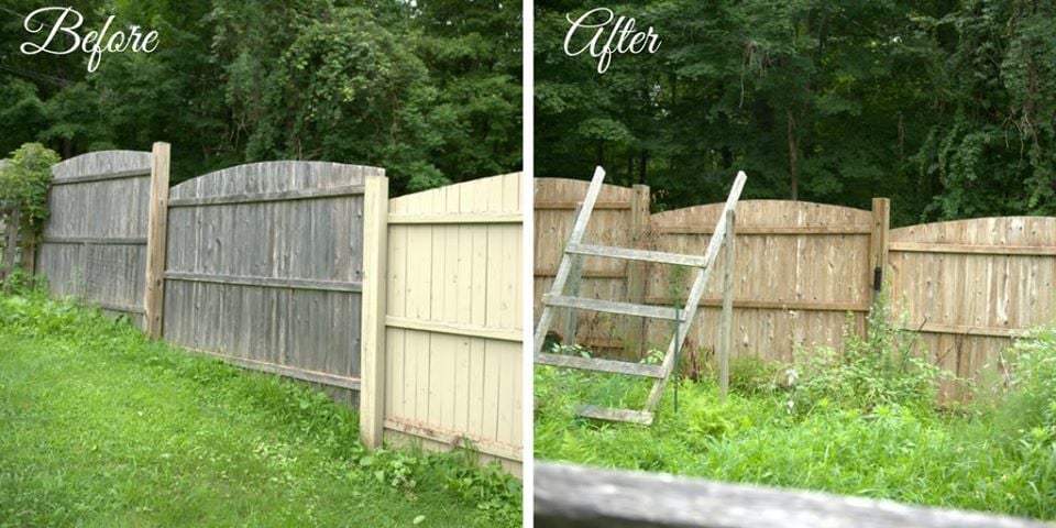 soft wash fence before and after